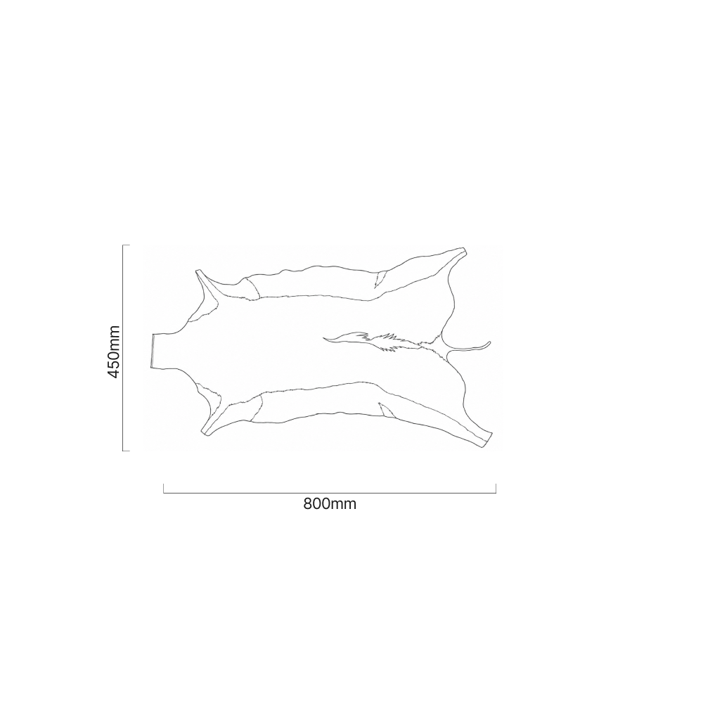 cielo_first_grade_springbuck_hide